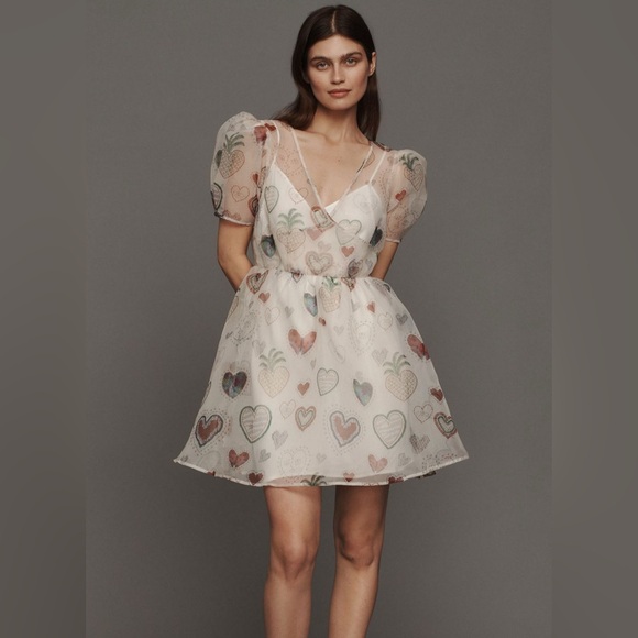 FARM Rio Dresses & Skirts - Farm Rio semi sheer puff sleeve mini dress